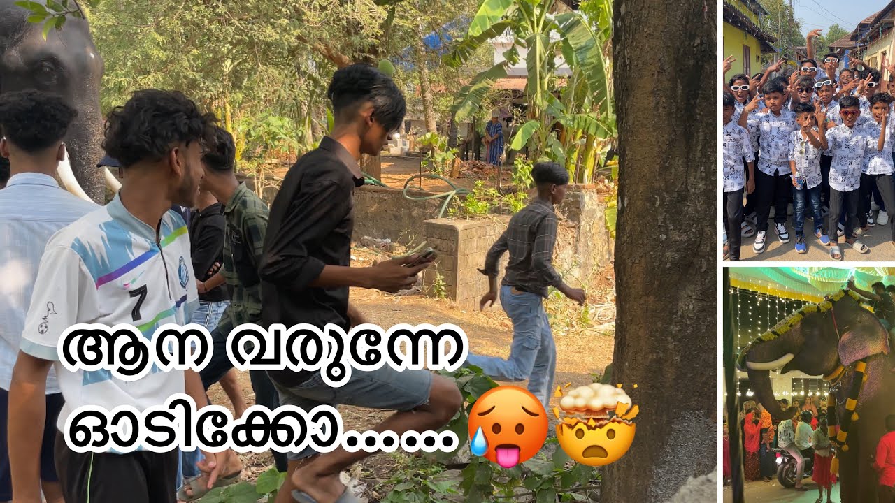😍🎉💃🏻ഞങ്ങളെ നാട്ടിലെ നേർച്ച ആഘോഷങ്ങൾ കാണണ്ടേ |Kaliyaroad nercha 2023 part 2 | Celebration vlog
