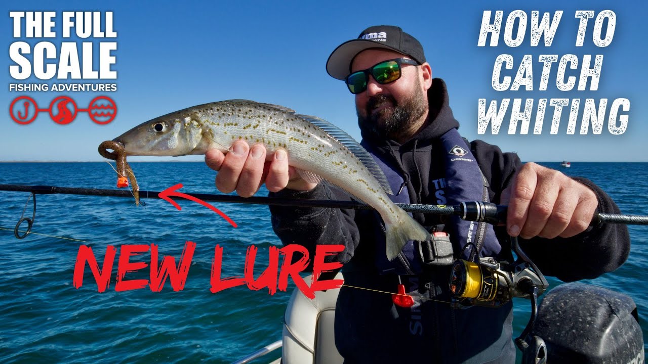 This NEW Lure Works So Well For Whiting | The Full Scale