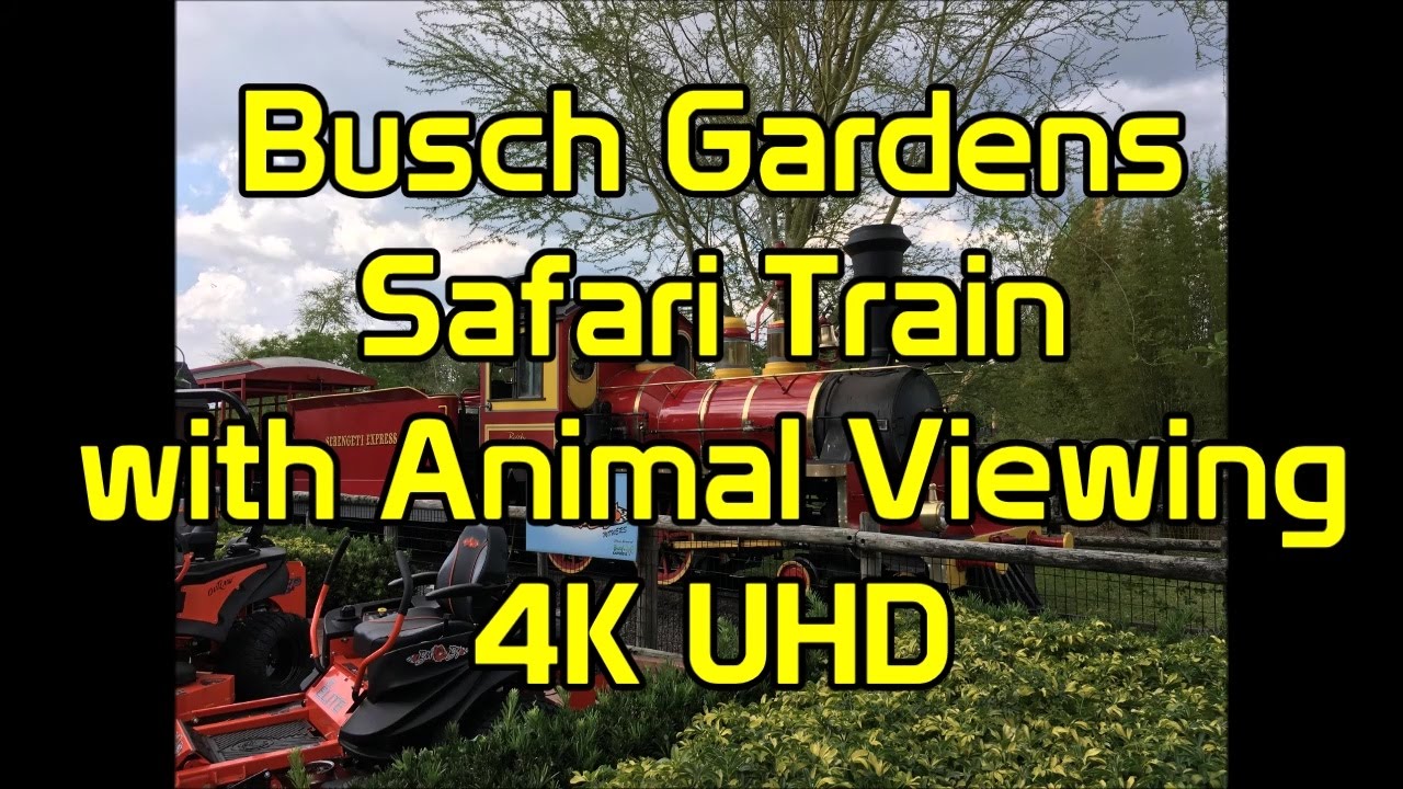 Busch Gardens | Safari Train | with Animal Viewing | 4K UHD