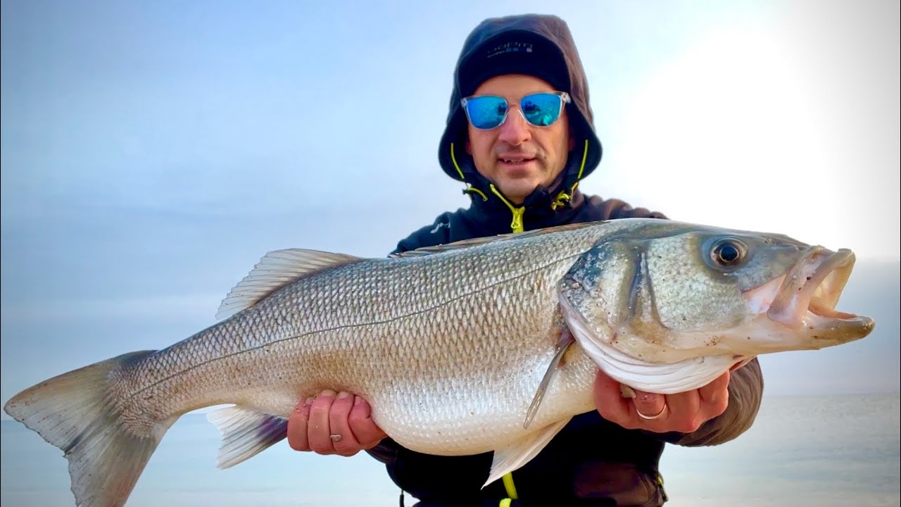 Una SPIGOLA da Sogno a Spinning dalla spiaggia - Dream Sea Bass from the beach