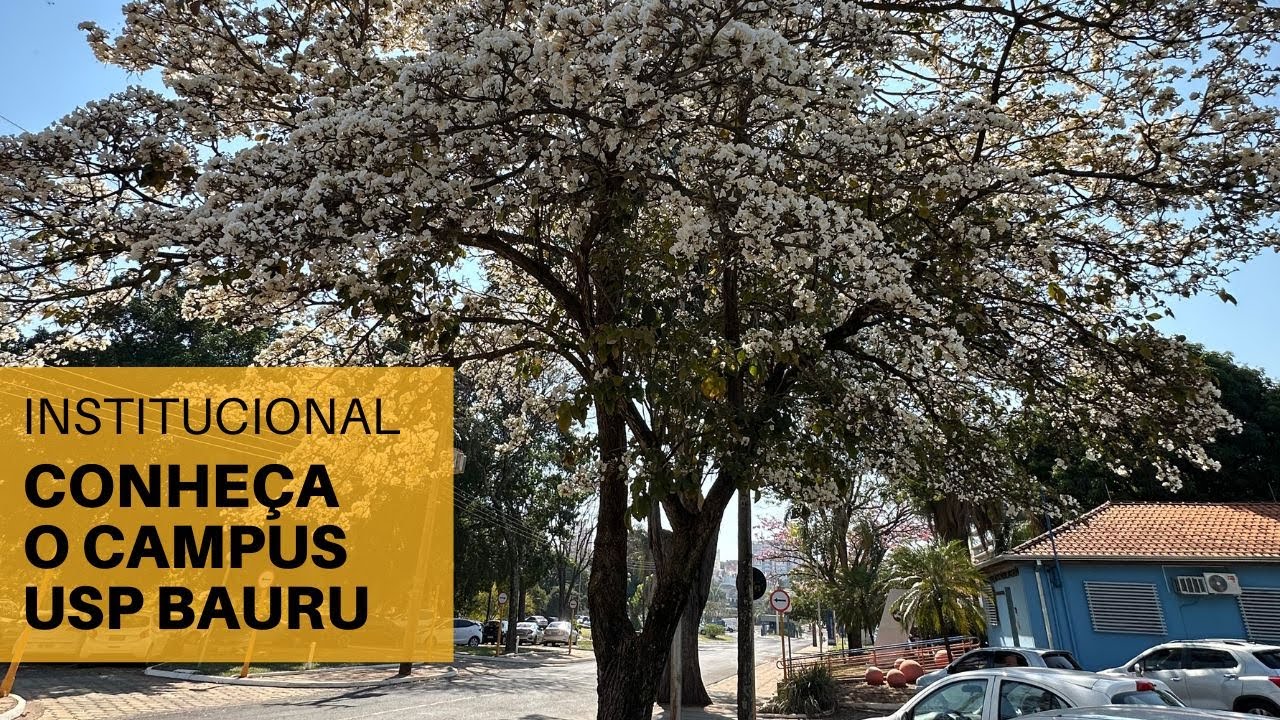 Institucional: Conheça o Campus da USP Bauru