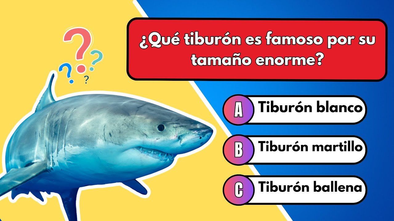 Desafío del Océano: 50 Preguntas sobre Vida Marina - ¿Cuánto Sabes?🌊🐳🦈
