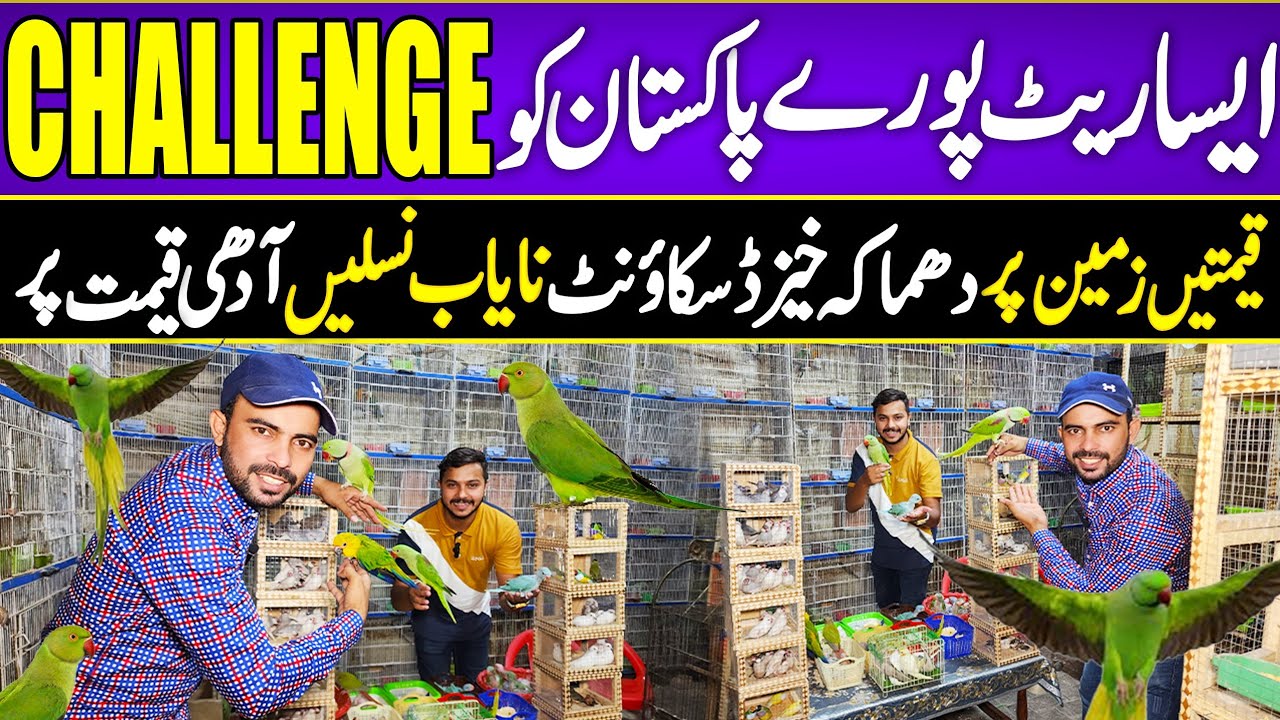 Bolne wale tote taim Bird  #lahorientertainmentchannel#birds #birdsmarket   #lovebirdsfarming #2025