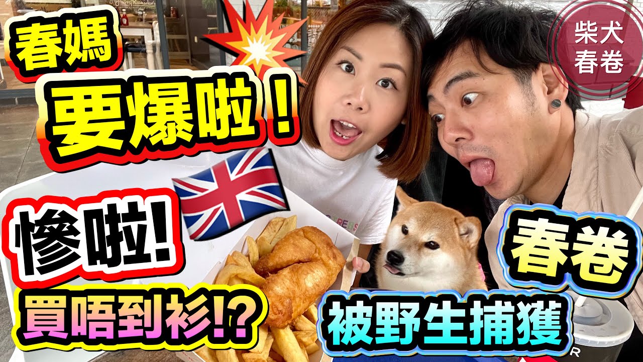 移居英國後春媽呻好難買衫褲鞋 ? 與春卷Shopping｜Chester Cheshire Oaks Designer Outlet 寵物購物天堂｜Shiba Manchester｜香港人移民英國生活