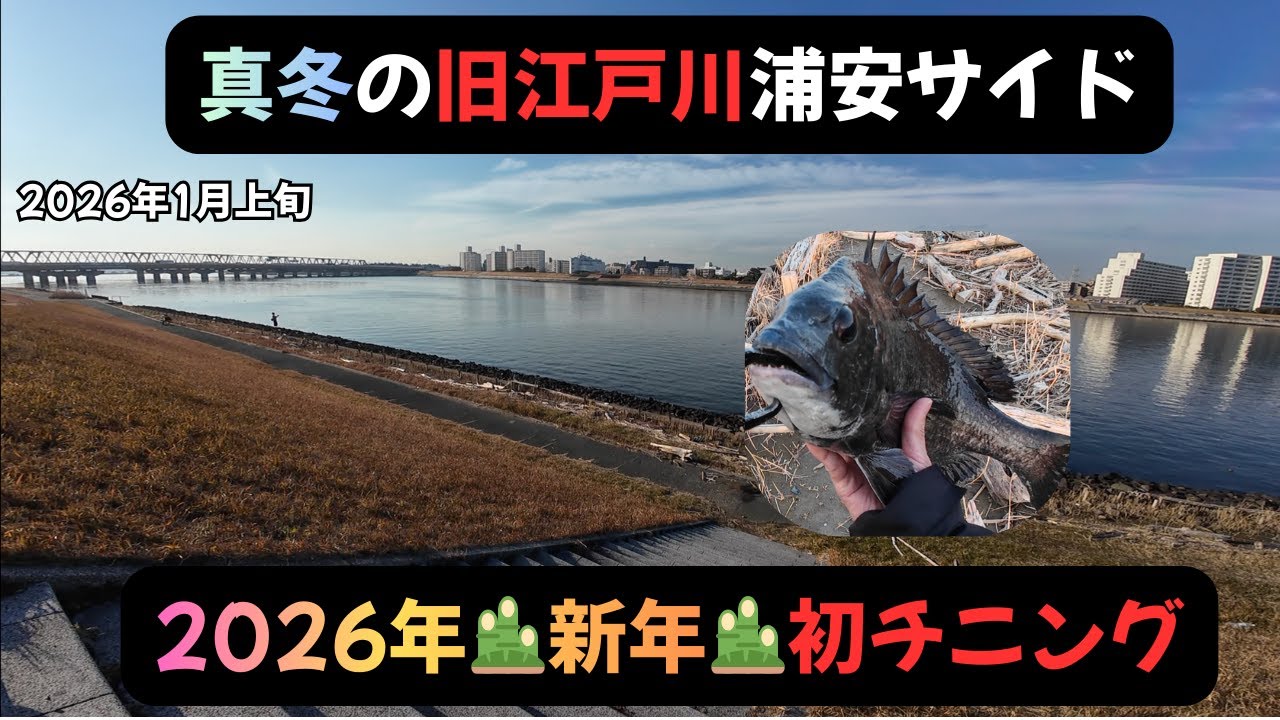 真冬のチニング調査【旧江戸川浦安サイド】