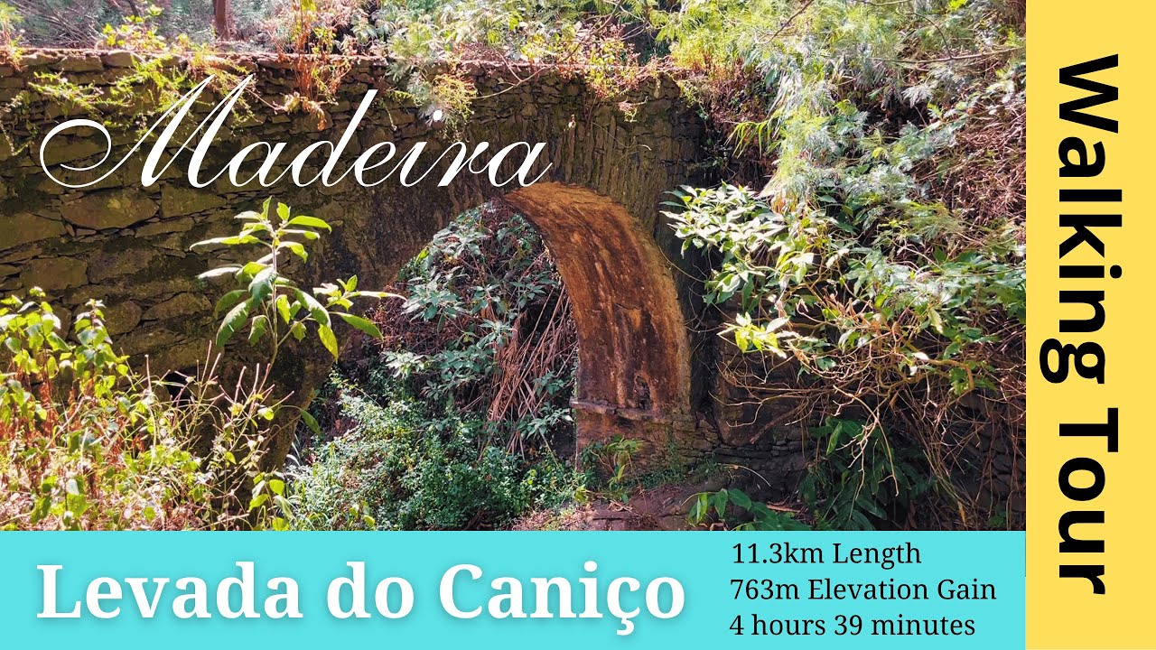 Walk Along Levada do Caniço, Madeira 🇵🇹 | Family Nature Walk with Birds & Flowing Water (4K)