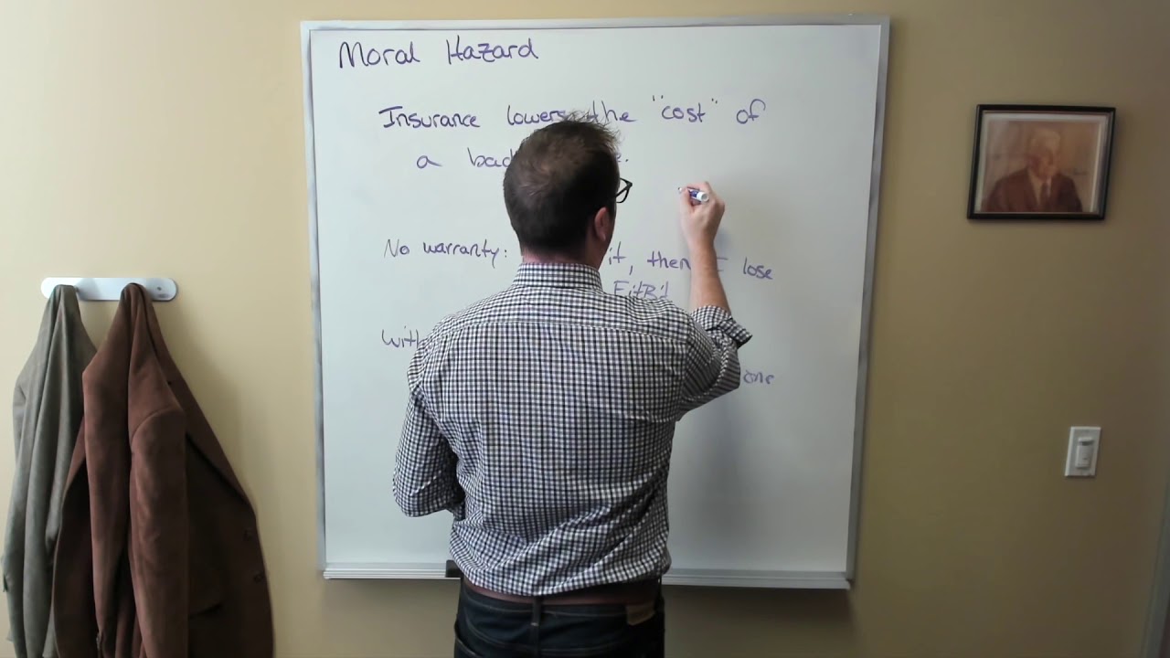 Health Economics 4: Moral Hazard