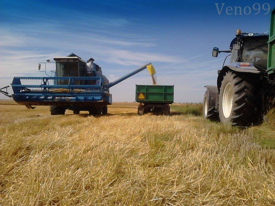 Żniwa 2015 - Bizon BS Z110 Hydrostatic - Nowa Wersja Filmu