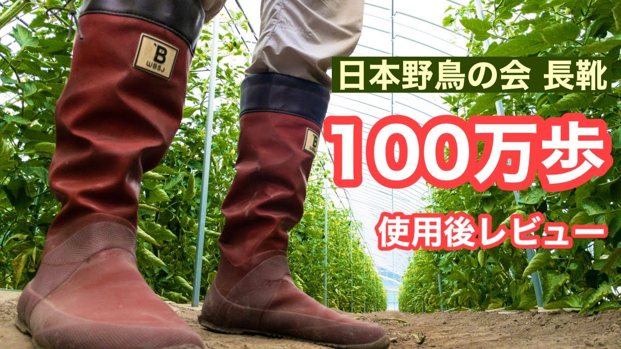 【農作業長靴】北海道農家が大人気長靴の耐久性をチェック！