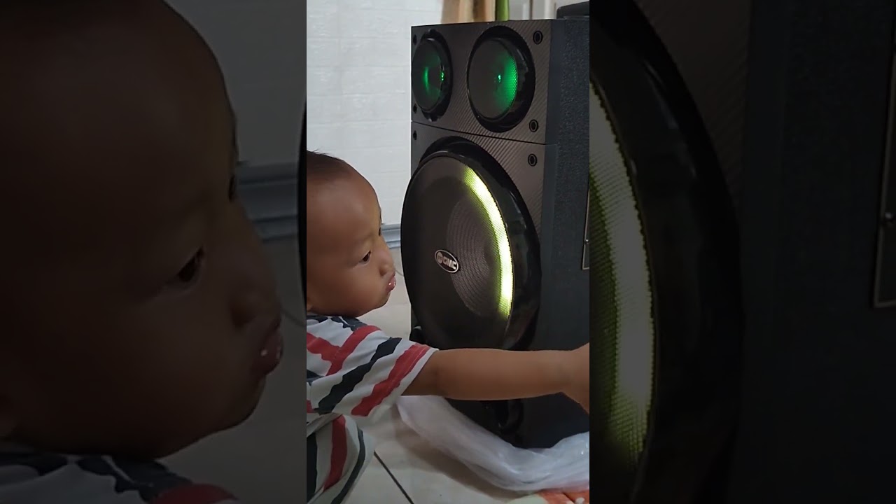 Review Speaker 2 mic GMC 897L
