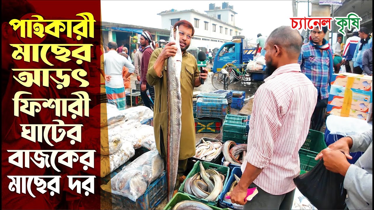 ফিশারী ঘাট | Fishery Ghat | মাছের আড়ৎ | বৃহত্তর মাছ বাজার | CTG | Krishi Vlog | Channel Krishi