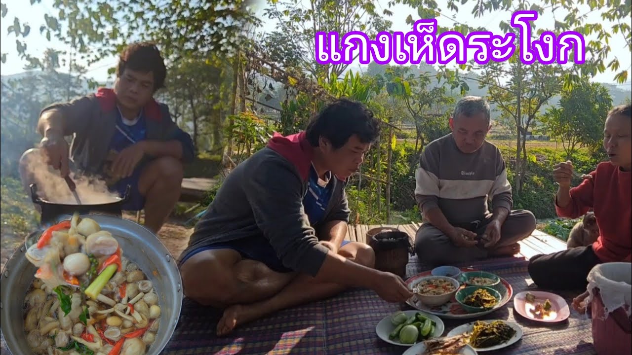 เห็ดระโงก เก็บวิธีนี้มีเห็ดได้กินตลอดทั้งปีเลย