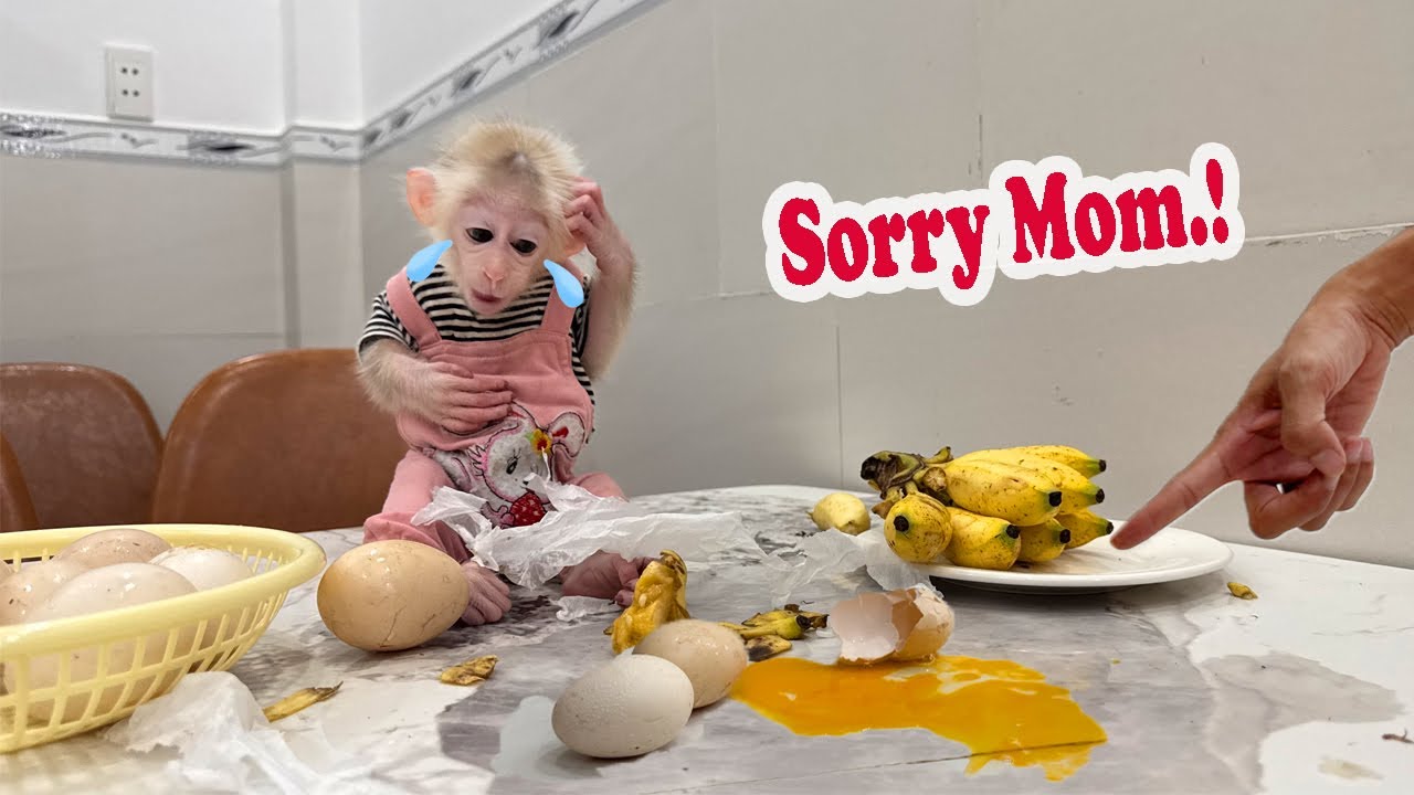 What did Lucky do to his mother's egg that made her angry