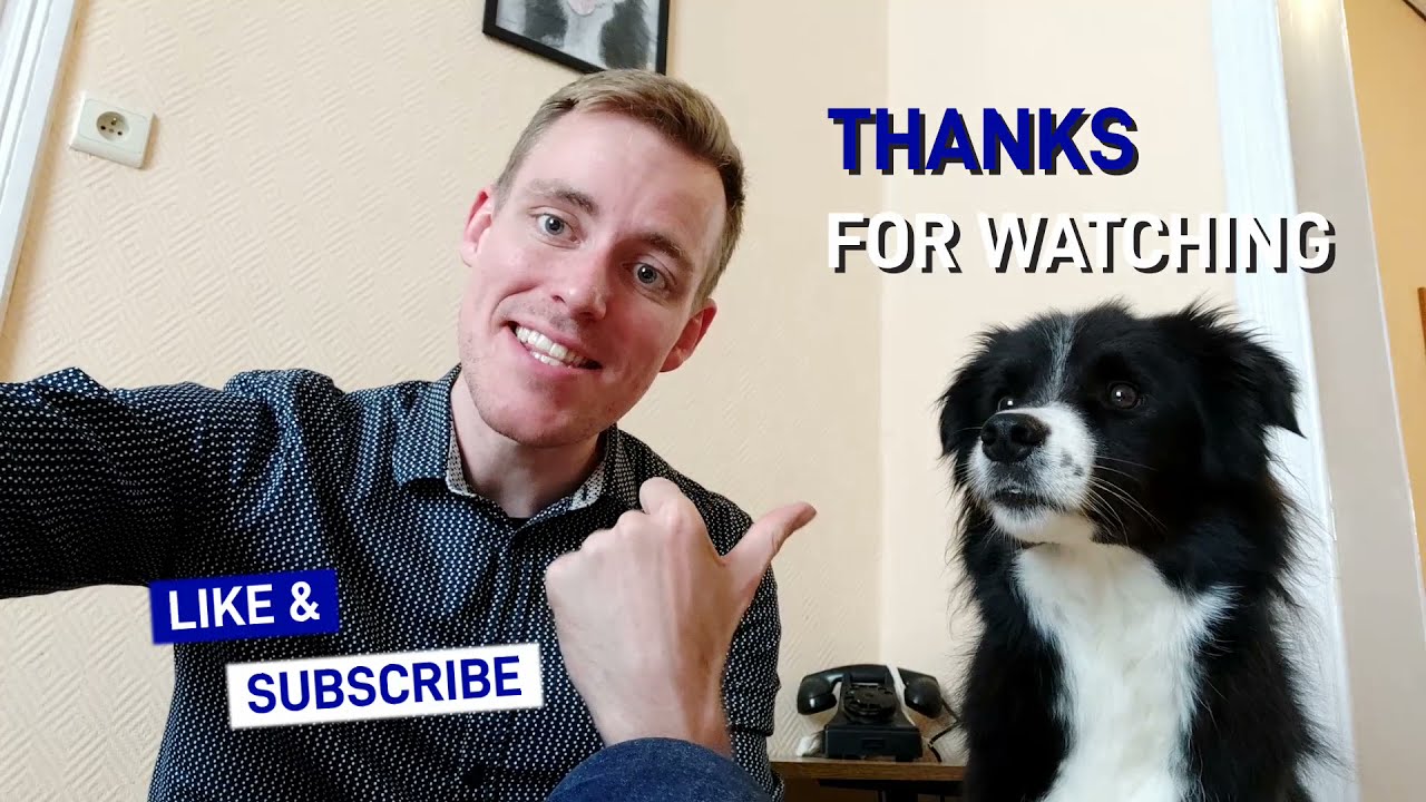 Q&Paw - Hoe leer ik mijn hond woorden begrijpen? - Deel 1