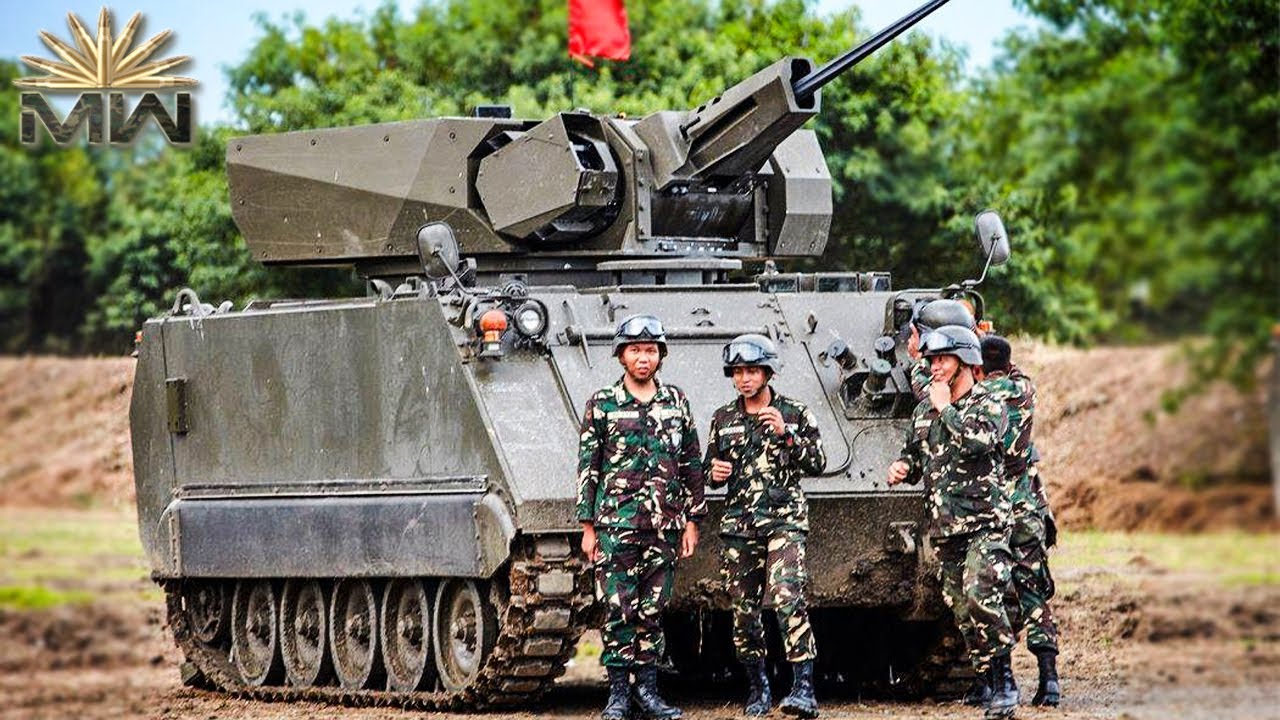 Вооружённые силы Вьетнама [Военная мощь]
