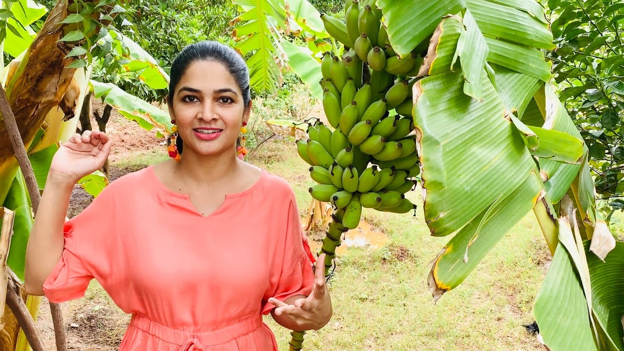Beans fry || From farm kitchen by Madhumitha Sivabalaji