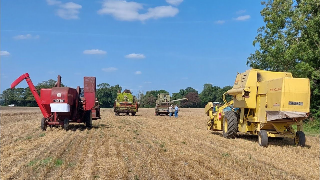 Combines at Little Ellingham 2025