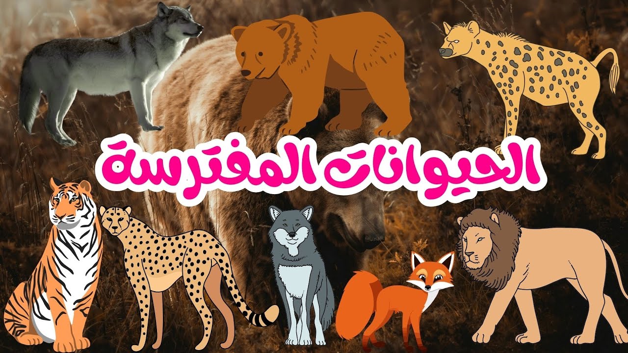 استكشاف عالم المفترسات أسماء  الحيوانات المفترسة للأطفال  Learn Wild Animals for Kids
