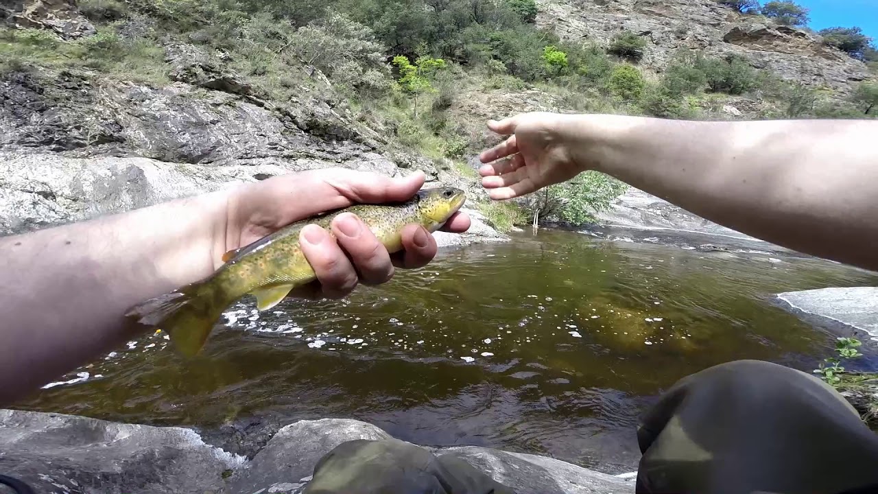 Gorges du Lliech  2019  toc et drône