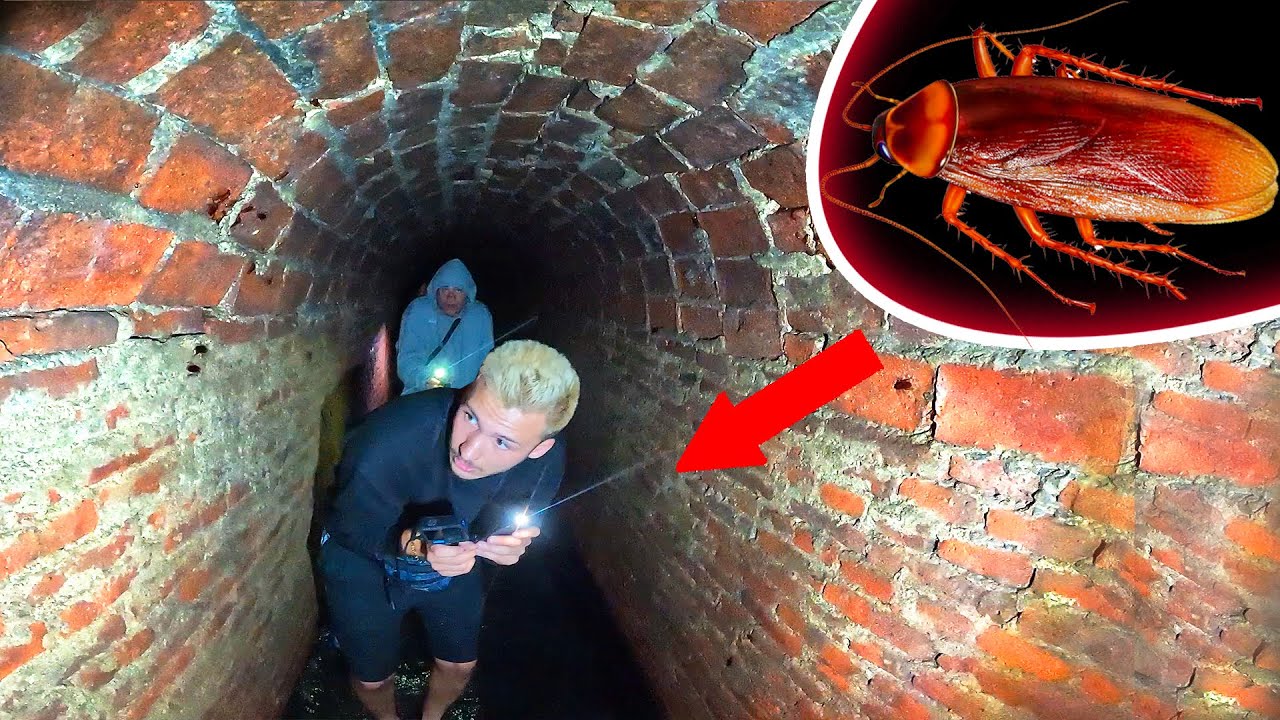PANIK ATTACKE in INSEKTENTUNNEL | SKORPIONALARM (Katakomben von Guadalajara) 🇲🇽