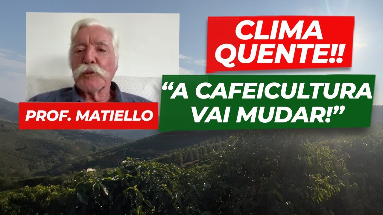 Professor Matiello fala sobre VARIEDADES resistentes à SECA, que são híbridas de CONILON com ARÁBICA