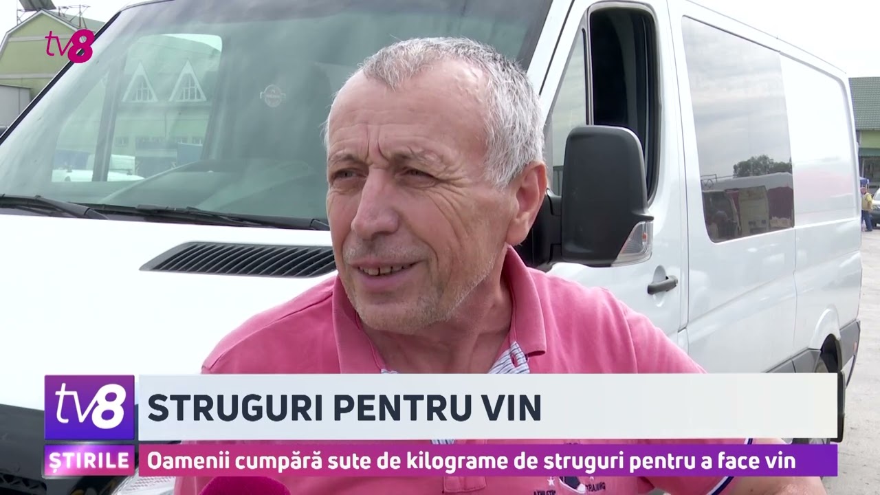 Struguri pentru vin. Oamenii cumpără sute de kilograme de struguri pentru a face vin