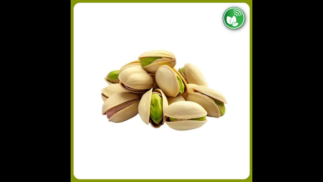 Pistacho en Argentina: un cultivo que exige paciencia y clima preciso