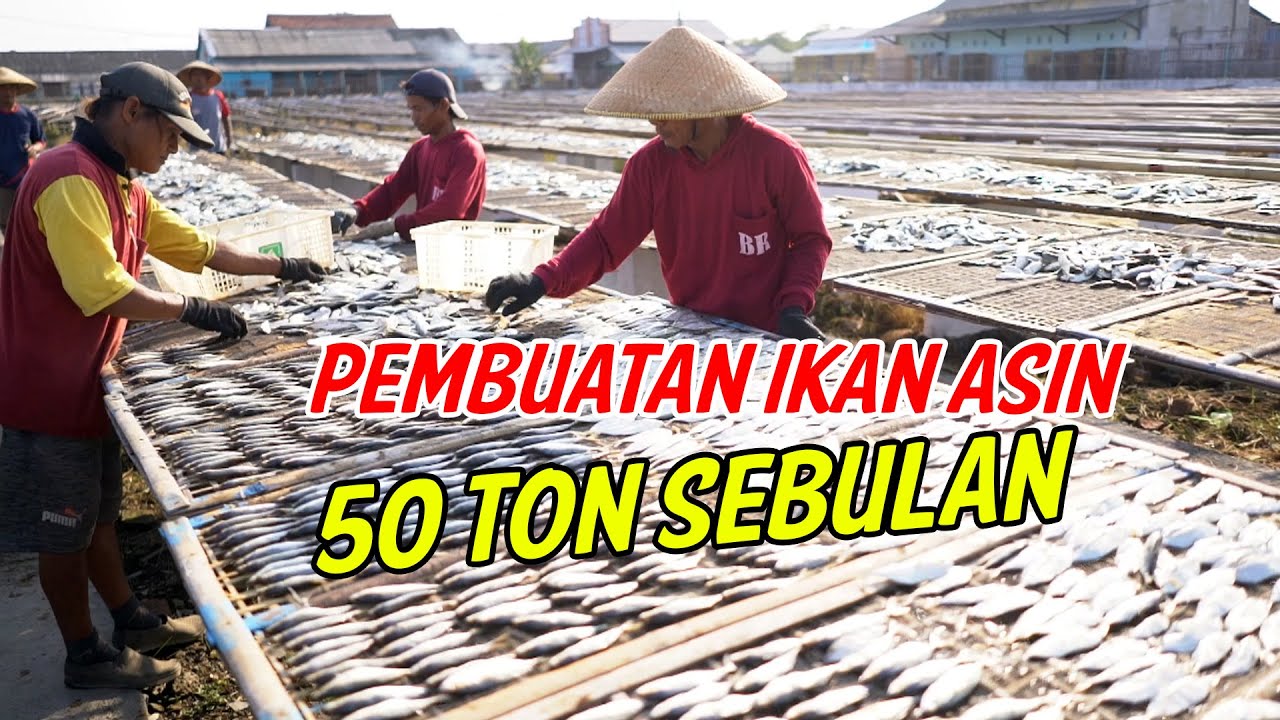 MUDAHNYA BIKIN PROSES PEMBUATAN IKAN ASIN || SENTRAL IKAN ASIN DI TEGALSARI