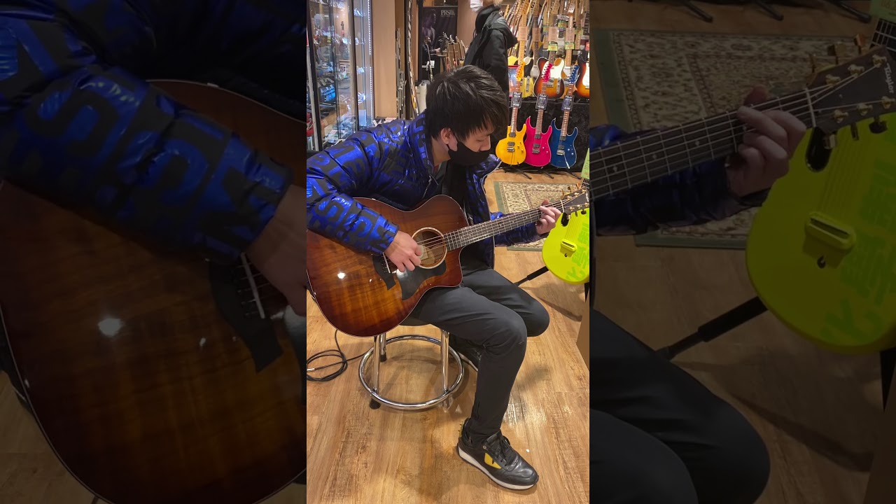 Taylor 224k- dlx