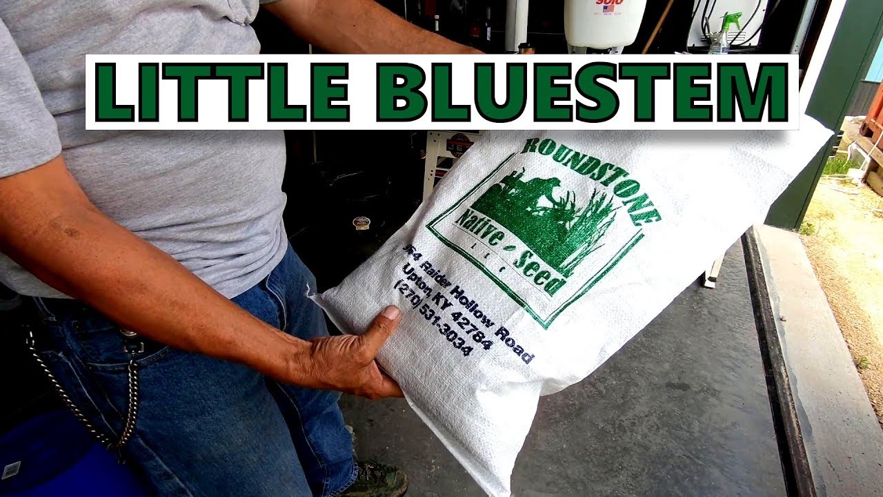 Planting the Little Bluestem Prairie Patch