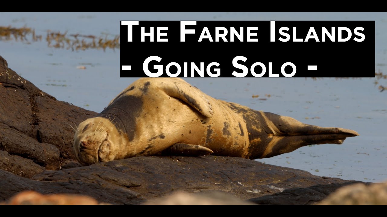 Sea Kayaking Northumberland - The Farne Islands - Going Solo