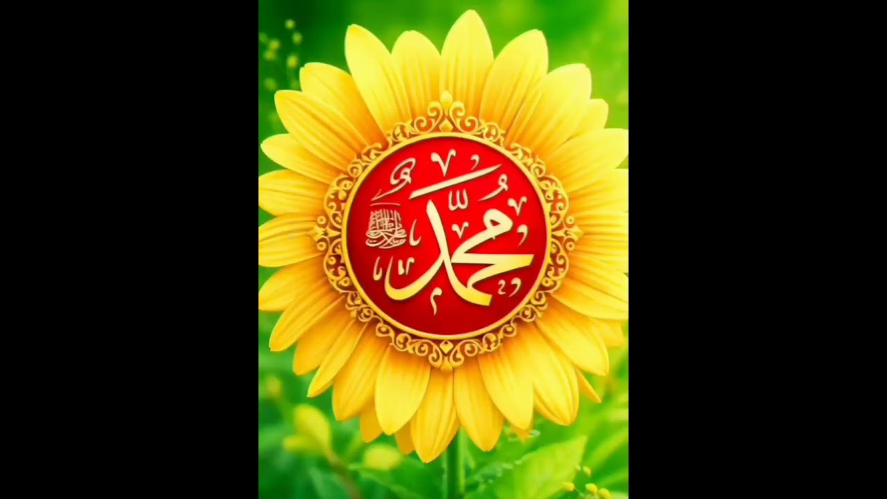 اللهم صلي وسلم على نبينا محمد 💚🤍💚🤍💚🤍