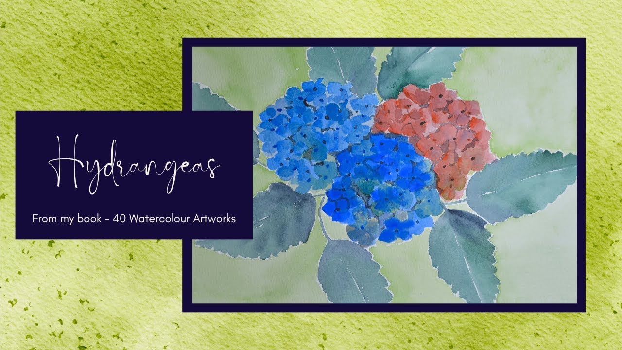40 Watercolour Artworks | 38. Hydrangeas