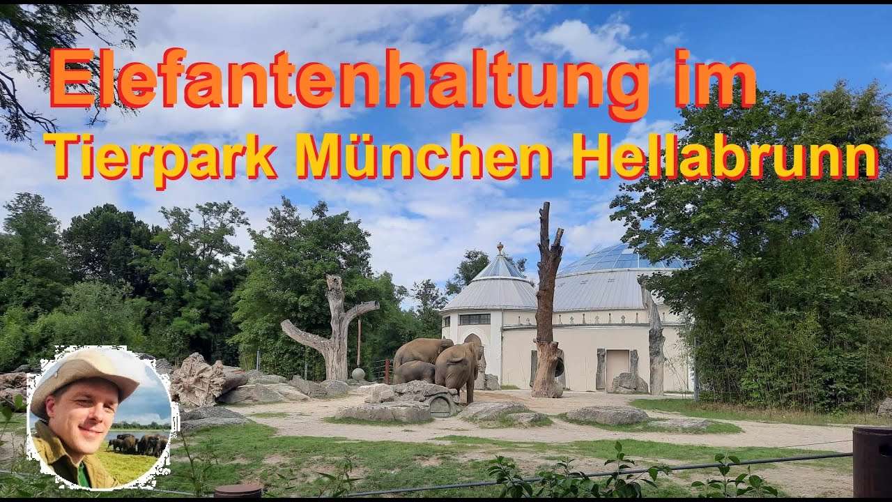 Elefantenhaltung im Tierpark München Hellabrunn