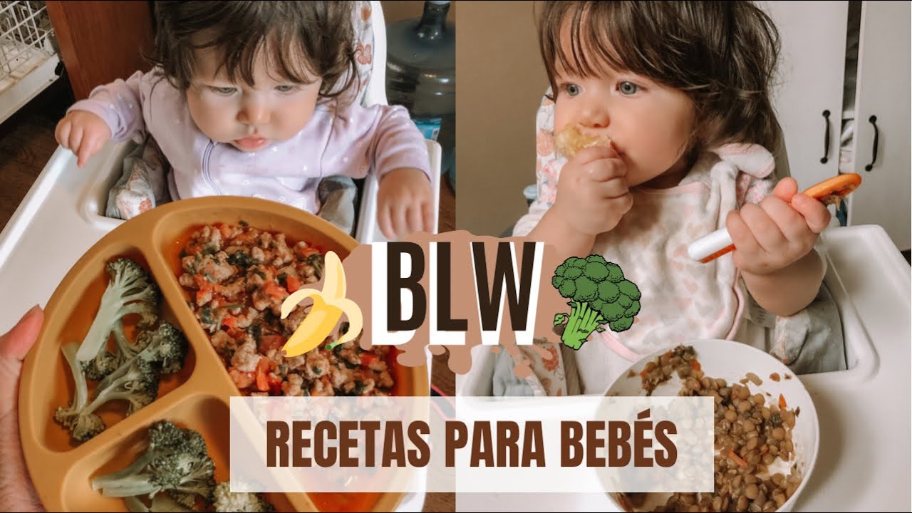 ¿ALIMENTACIÓN COMPLEMENTARIA? 👶🏼🥣 LO QUE DEBES SABER | Recetas para tu bebé 🥦🍗🍤