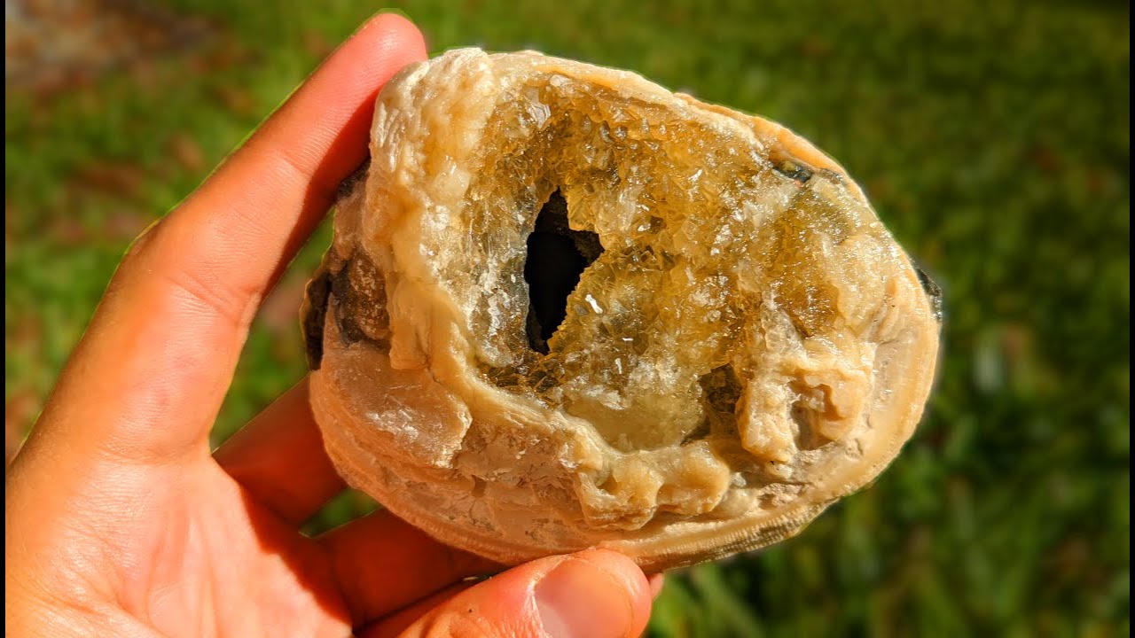 We Crossed off my Biggest Bucket List Hunt! | Digging for Calcite Filled Fossils with WILDKYLE!