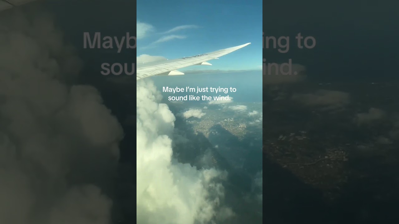 🍃💨 #piano #klavermusik #musikentdecken #pianomusic #musik #music #plane #ambient