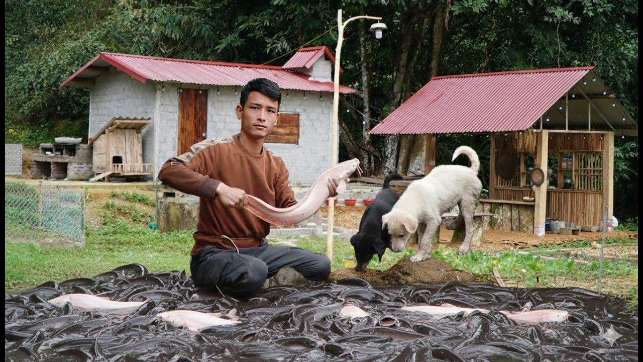 CEO Trieu Phong Caring for Two Puppy Dogs & Harvesting Stream Fish in the Deep Forest