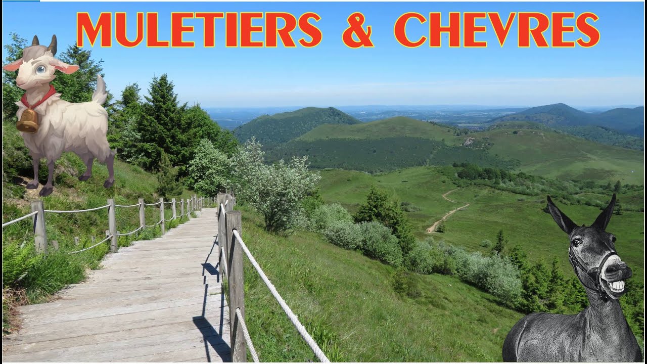 🚀🚀 Chemin des Muletiers & Ch&egrave;vres ✔️✔️ #toporando  #toutelafrance #puydedome
