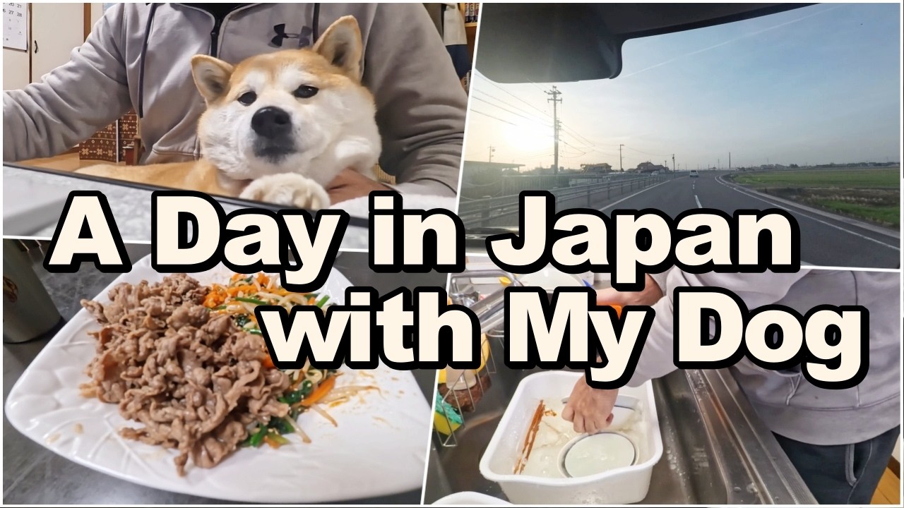 A Normal Day in Japan with My Shiba Inu | Simple Family Life