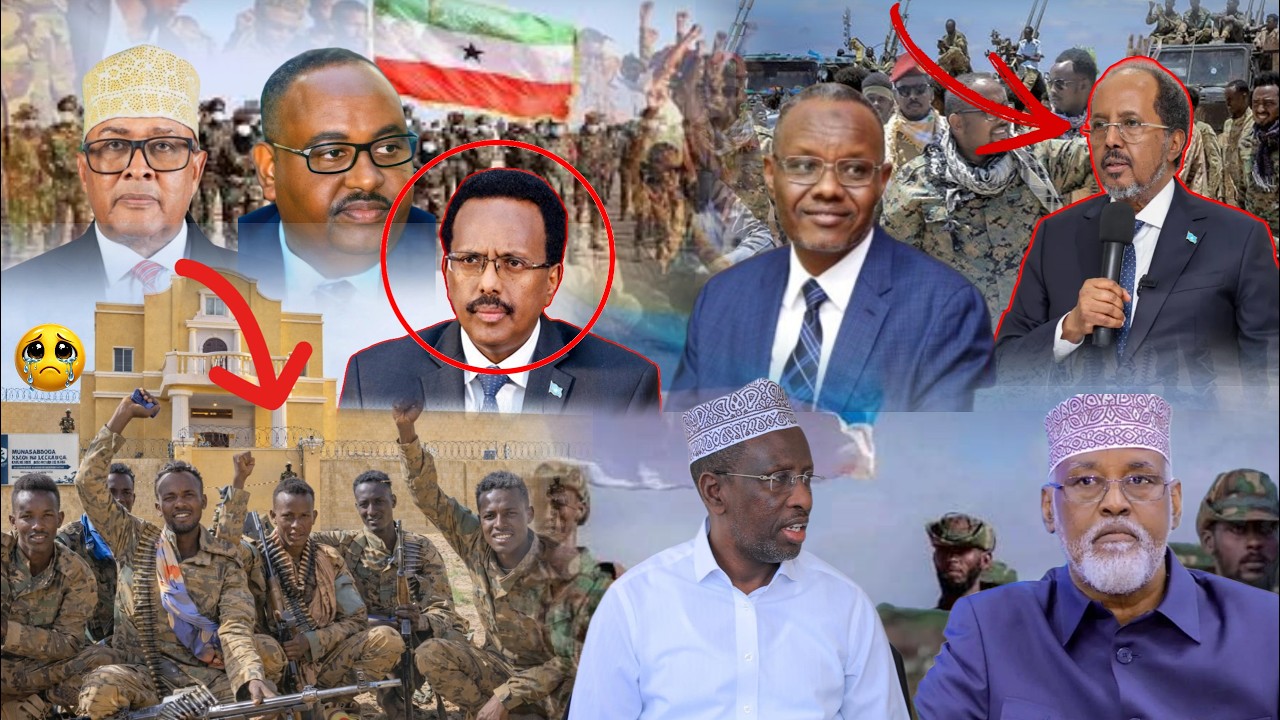 DEG-DEG Ciidanka SSC oo weeraray Ceerigaabo Ciidamo la wareegay gurigii Farmaajo & Dagaal culus oo..