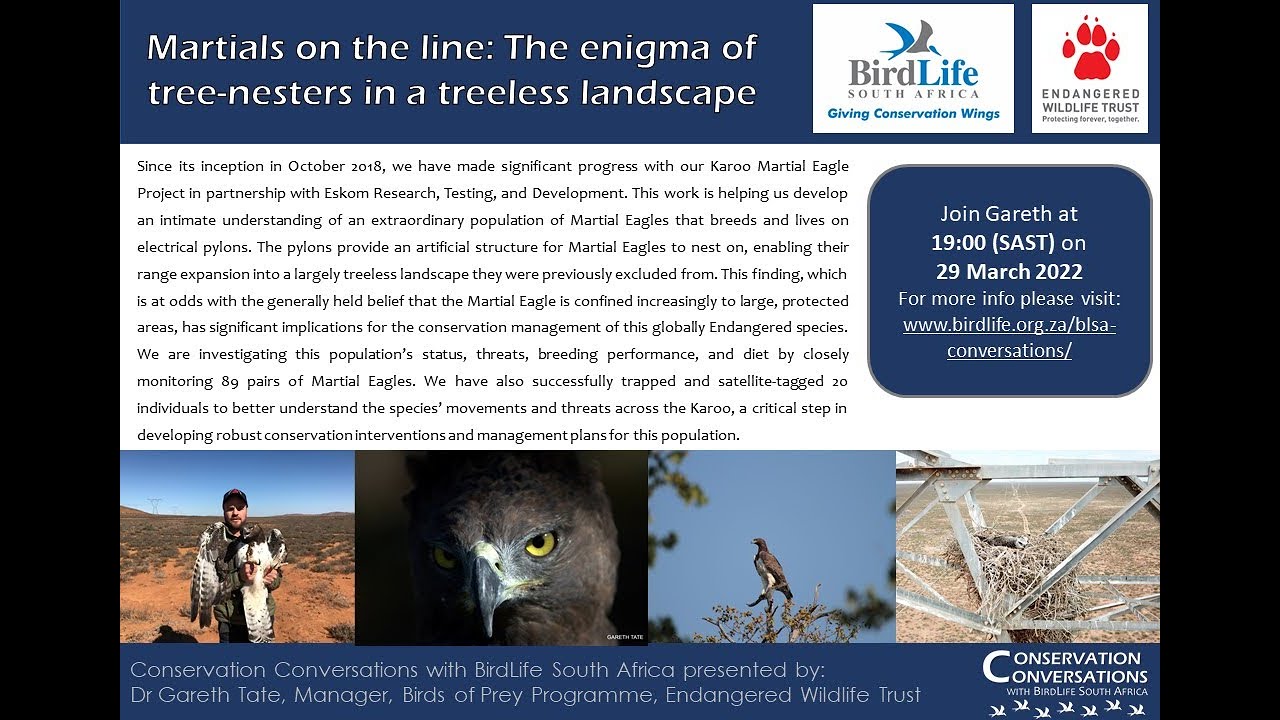 Conservation Conversations: Dr Gareth Tate - Martial Eagles of the Karoo
