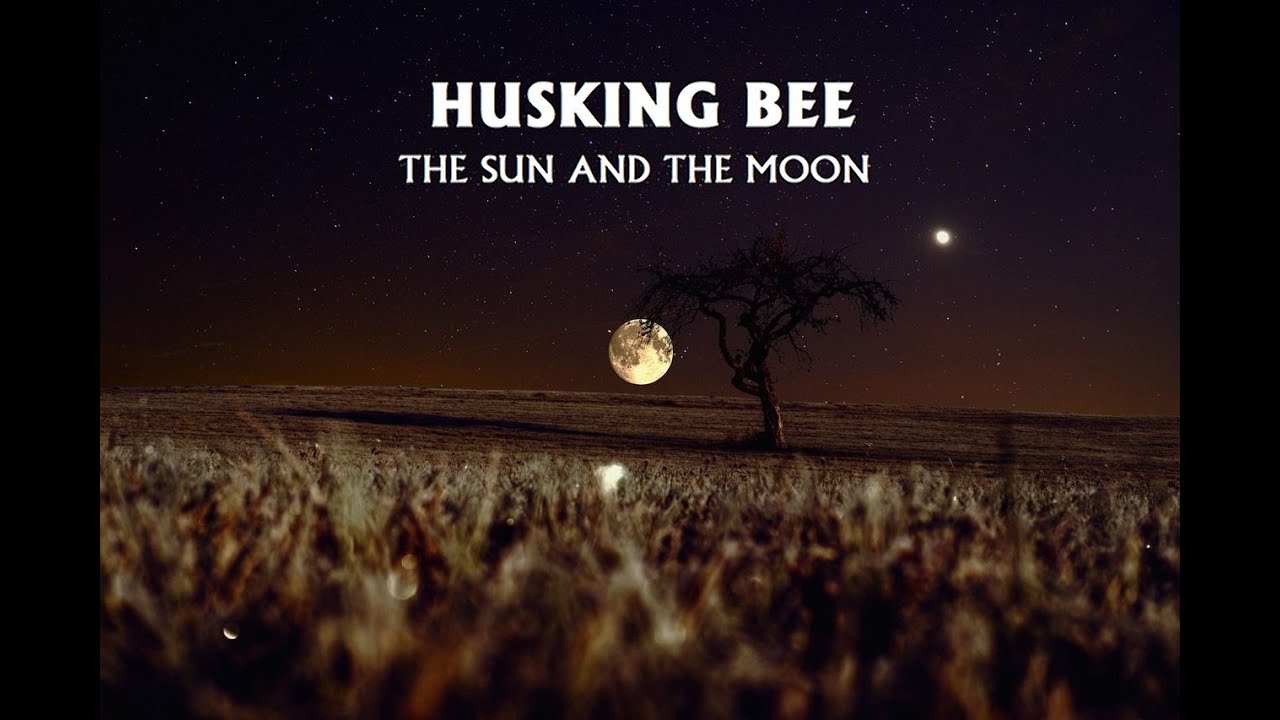 【cover】HUSKING BEE / THE SUN AND THE MOON