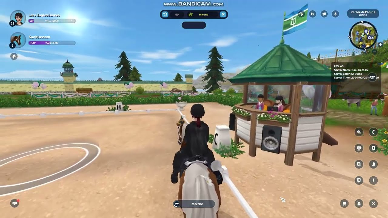 parcours de dressage du Festival de Jorvik (2024)