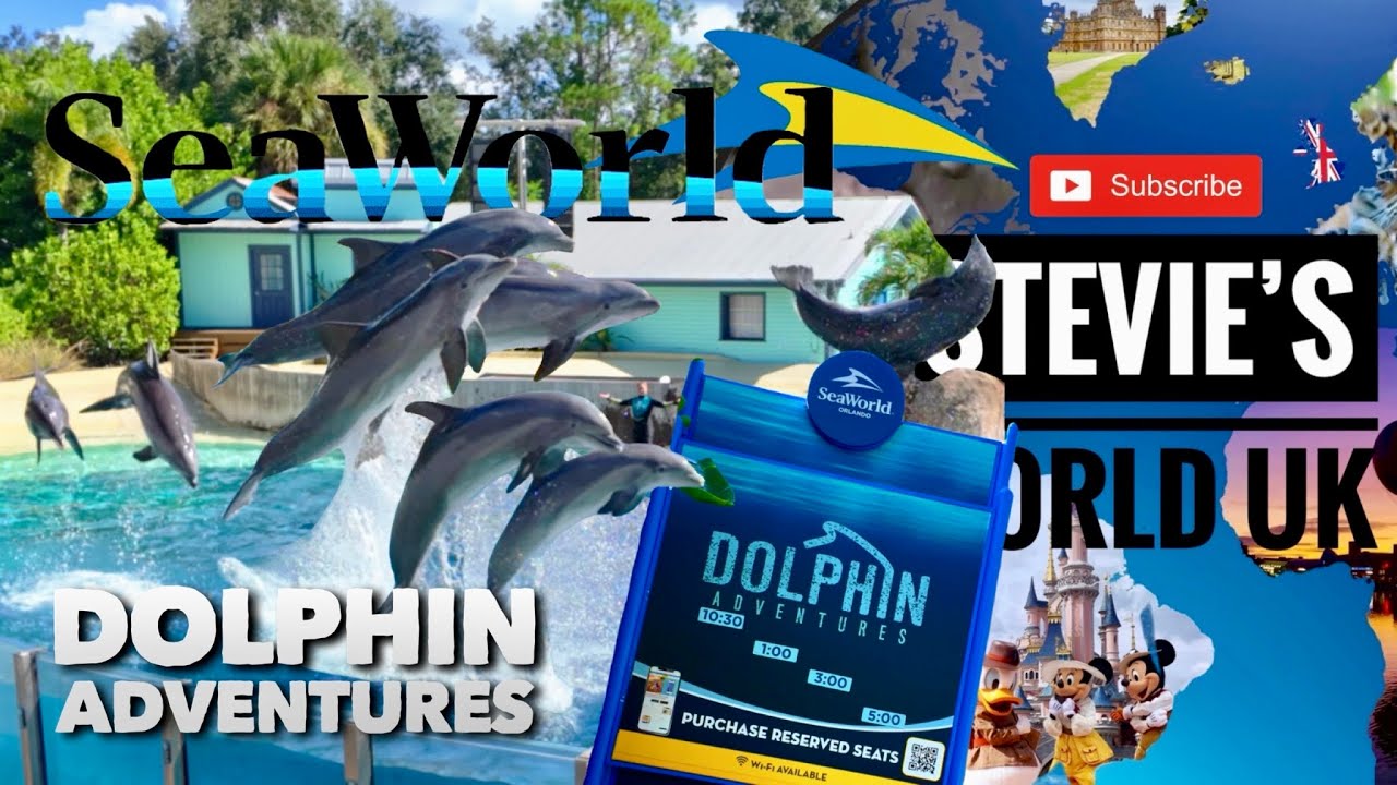 DOLPHIN SHOW - DOLPHIN ENCOUNTERS SEAWORLD ORLANDO FLORIDA