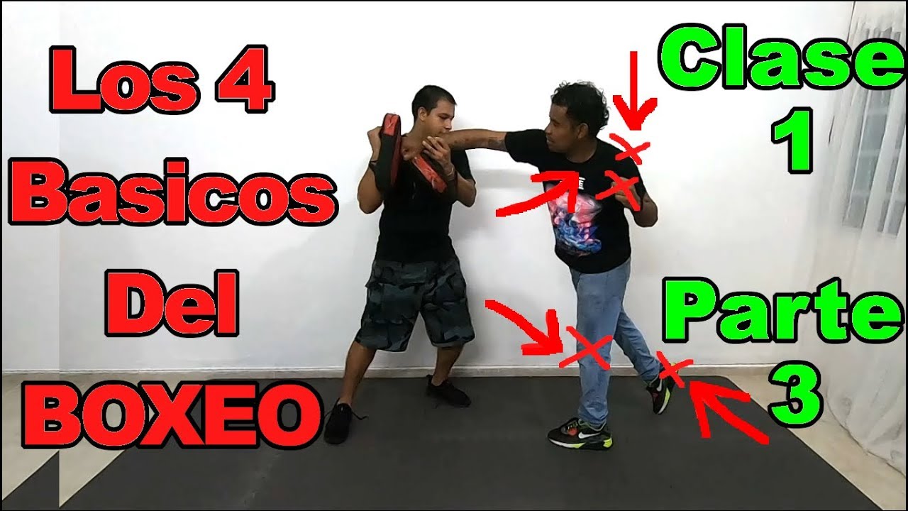 Boxeo Desde Cero / Entrenando a un Novato 3