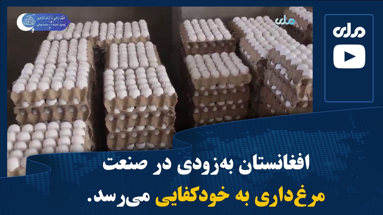 افغانستان به‌زودی در صنعت مرغ‌داری به خودکفایی می‌رسد.
