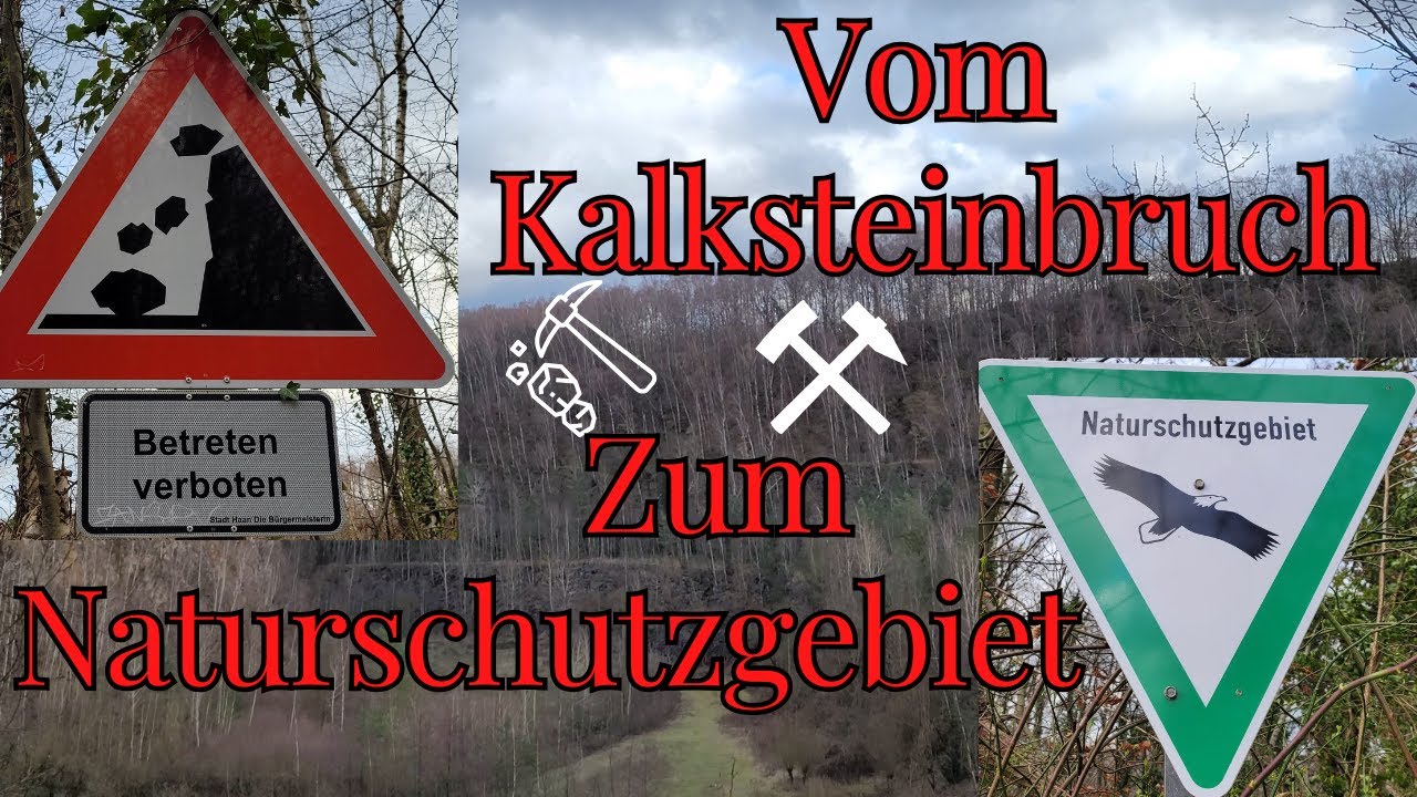 Ehemaliger Kalksteinbruch ,,Grube 7,, bei Haan-Gruiten