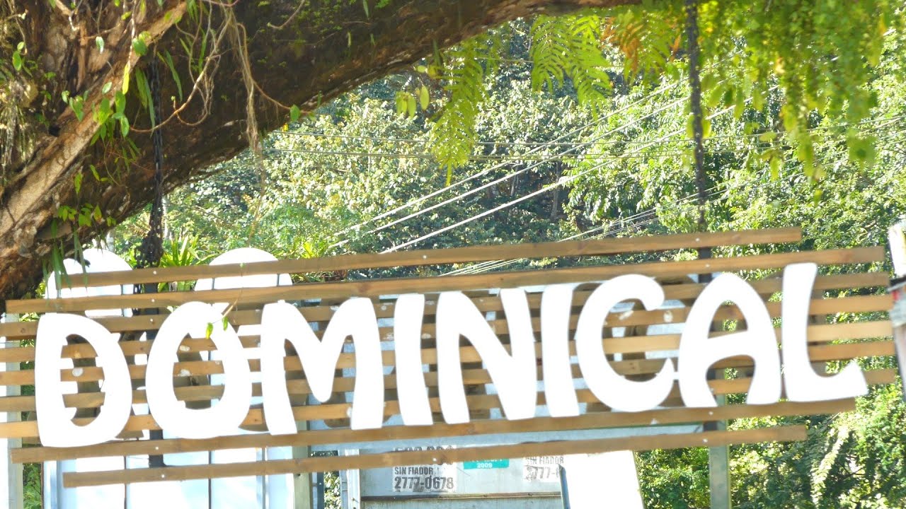 Dominical, Costa Rica 🇨🇷 | The Southern Surf Town Where Jungle Meets Magic