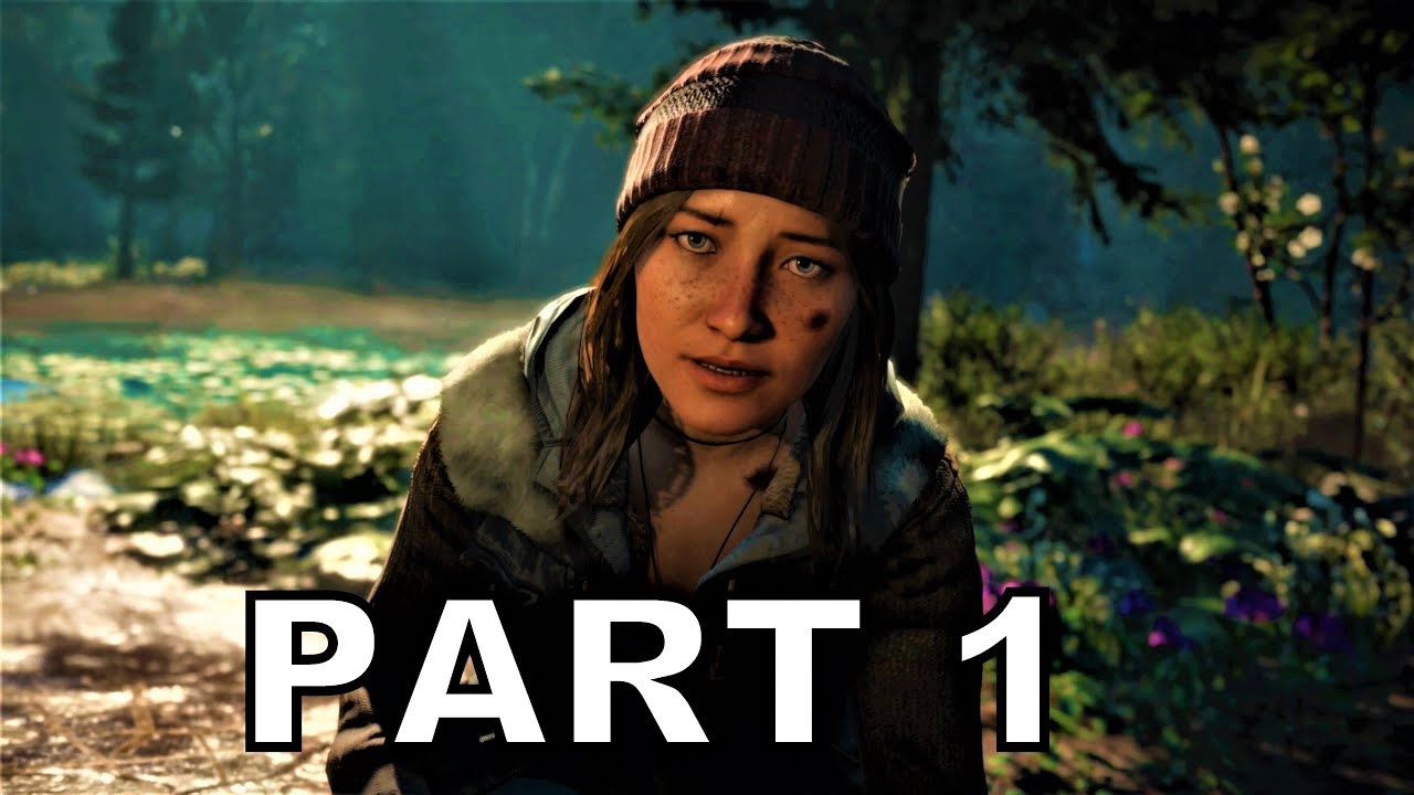 FAR CRY NEW DAWN Walkthrough Part 1 - Intro